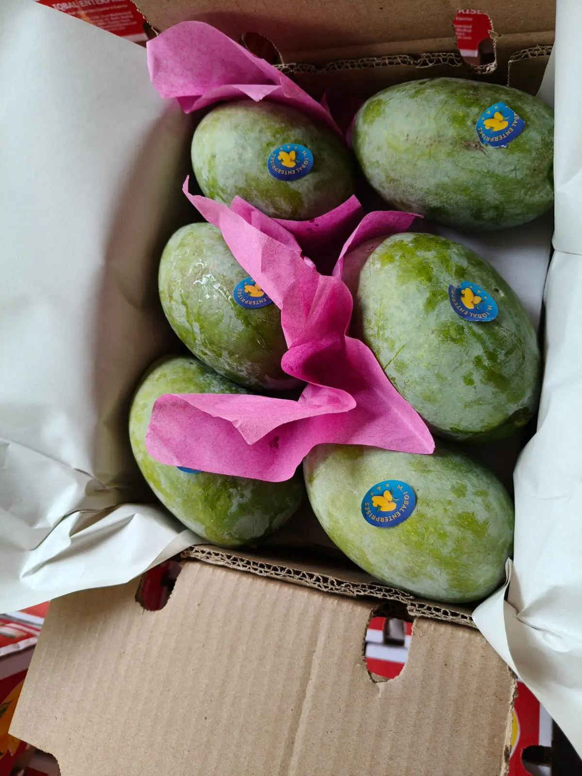 Chaunsa Mango Image 5