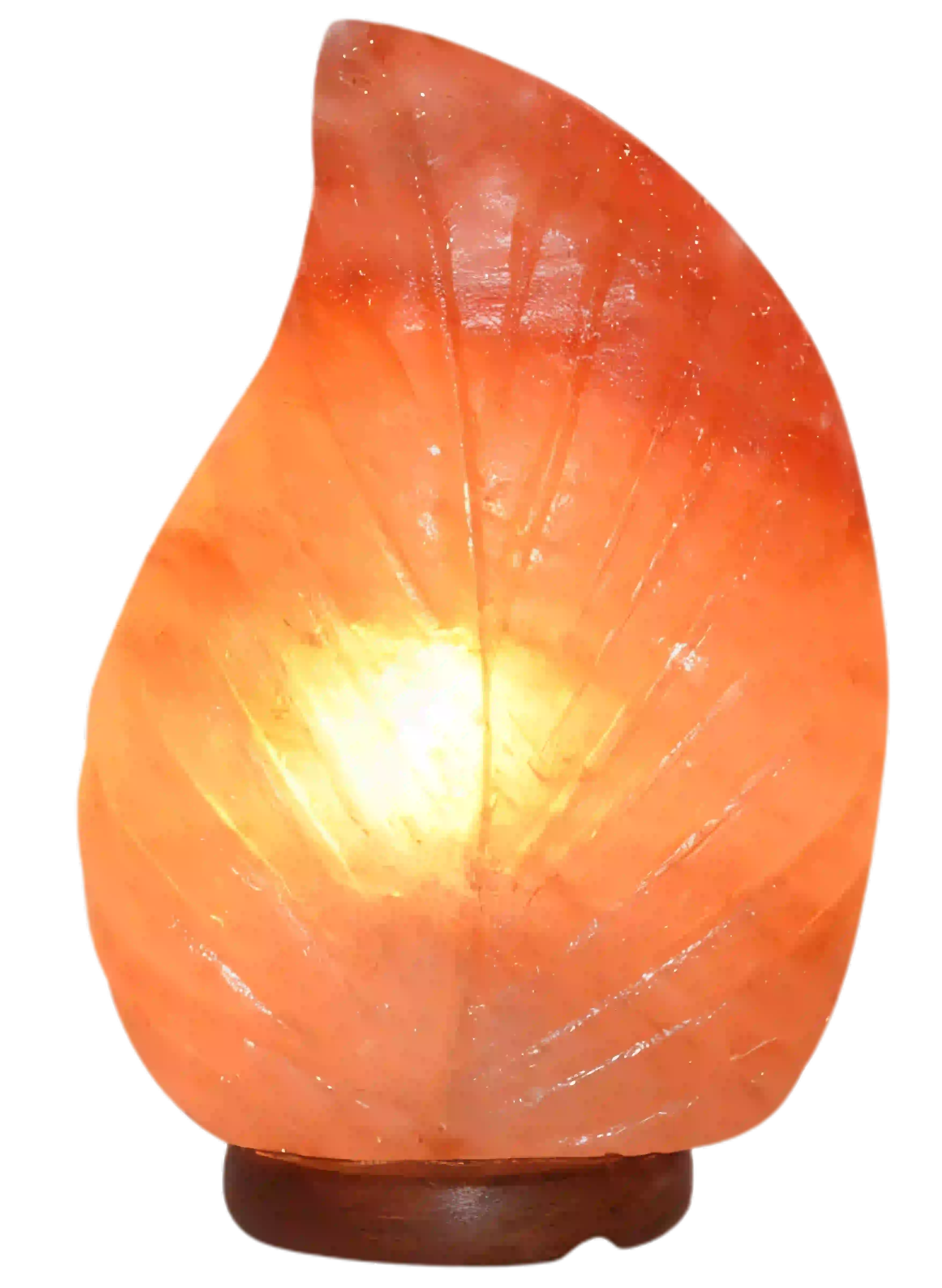 Leaf Shape Lamp
