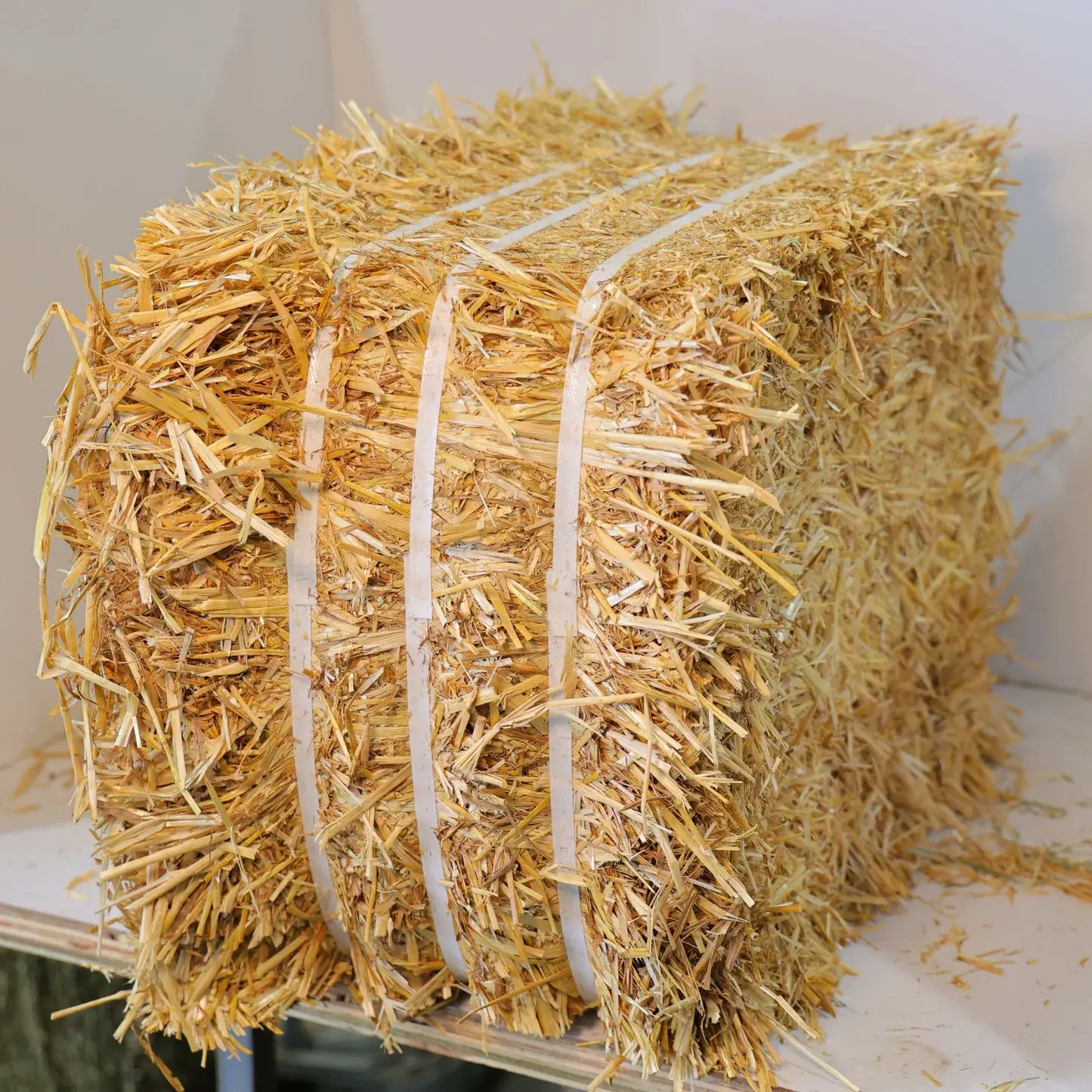 Wheat Straw