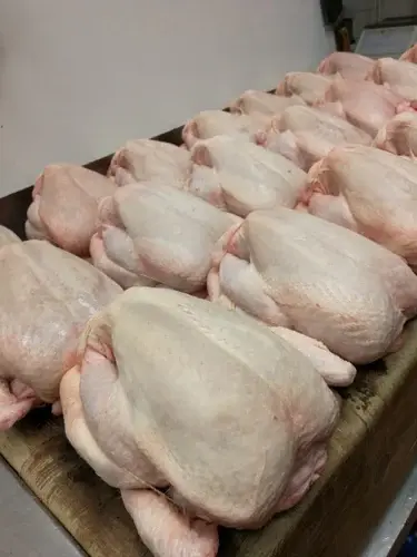 Halal Poultry & Chicken