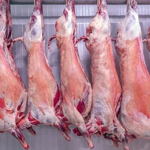 Premium Halal Mutton
